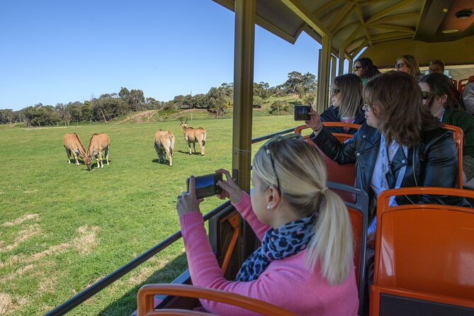 Werribee Zoo & Werribee Mansion Tour - Lunch is on you: plan for food so the day doesn’t wobble