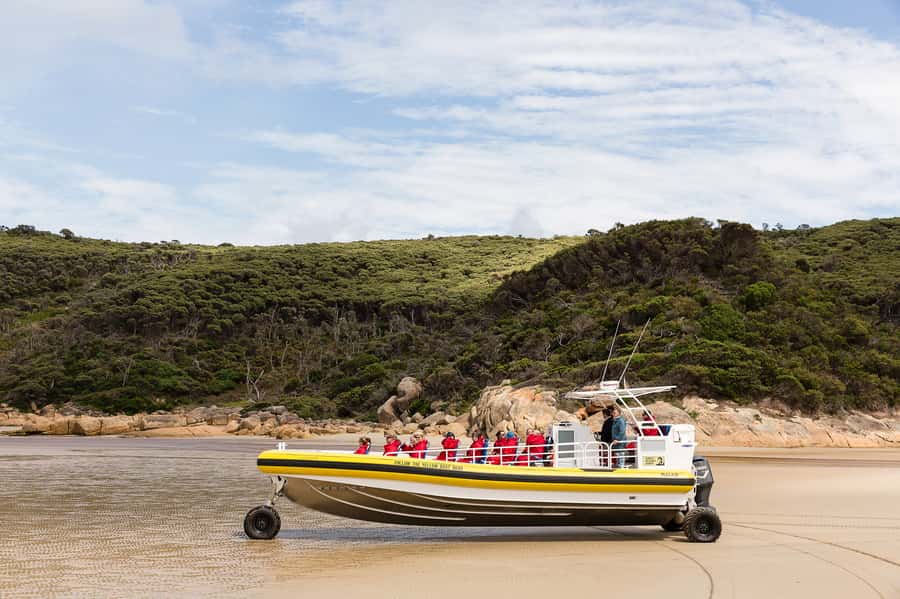 Wilsons Promontory: Afternoon Wilderness Cruise - Key things to know before you go