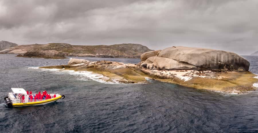 Wilsons Promontory: Afternoon Wilderness Cruise - Wildlife odds: seals, dolphins, and whales (the realistic view)