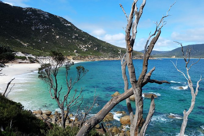 Wilsons Promontory Hiking Day Tour - 8 Person Max Small Group - Squeaky Beach: A Beach Stop With a Quirky Payoff