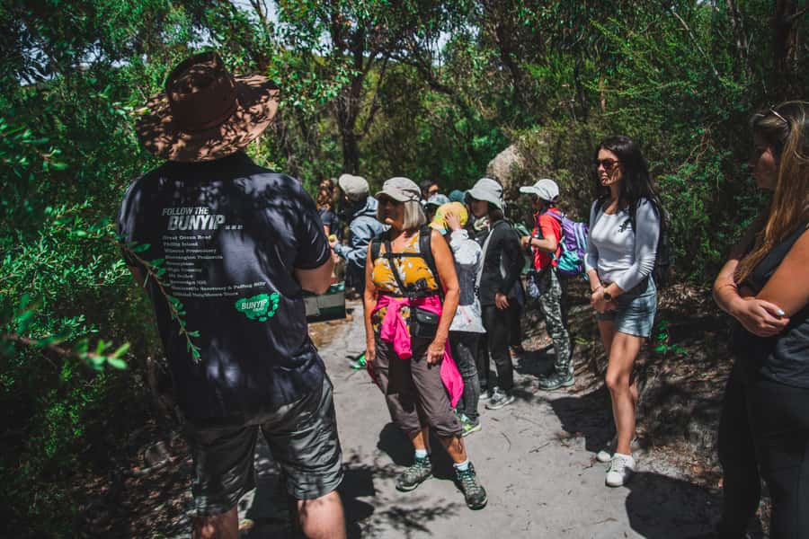 Wilsons Promontory National Park Full-Day Eco Tour - Lilly Pilly Gully and the wildlife walk: where sightings happen