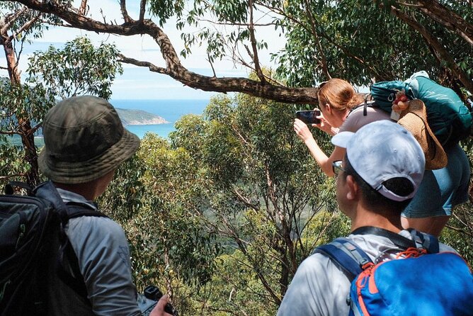 Wilson's Promontory Small Group Eco Tour from Melbourne - Tidal River Footbridge: The Park’s Inside-the-Park Town