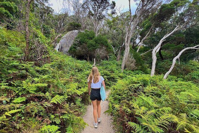 Wilson's Promontory Small Group Eco Tour from Melbourne - Mount Bishop Walking Track: The Day’s Main Workout