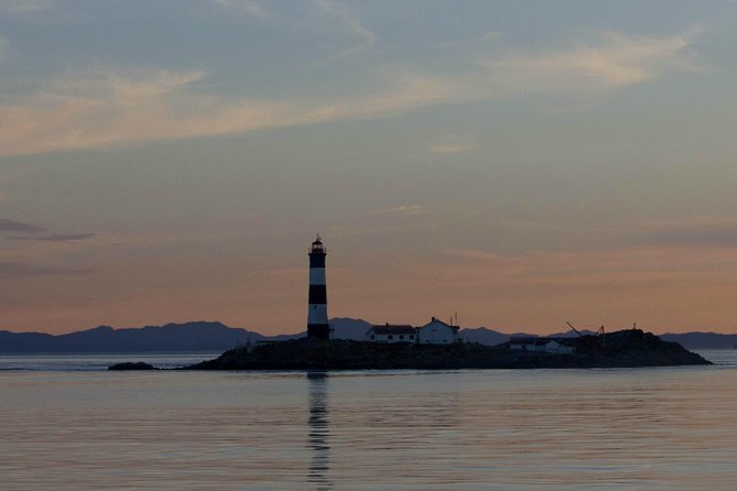 Winter Victoria Whale and Wildlife Zodiac Tour - What You Might See Around Southern Vancouver Island