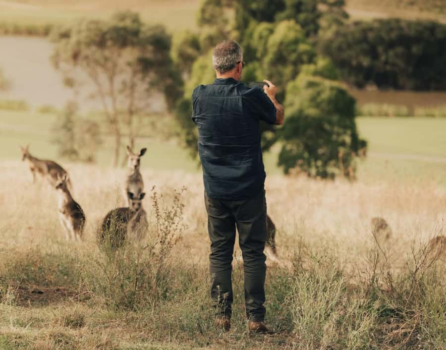 Yarra Valley Foodies Tour with Chandon and Kangaroo Safari! - Sunset kangaroo safari: the best photos and the real logistics
