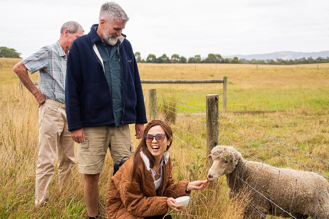 Yarra Valley Grazing Tour Wine, Cheese, Gin, Pizza from Melbourne - Yarra Valley Chocolaterie & Ice Creamery: the day’s sweet closer