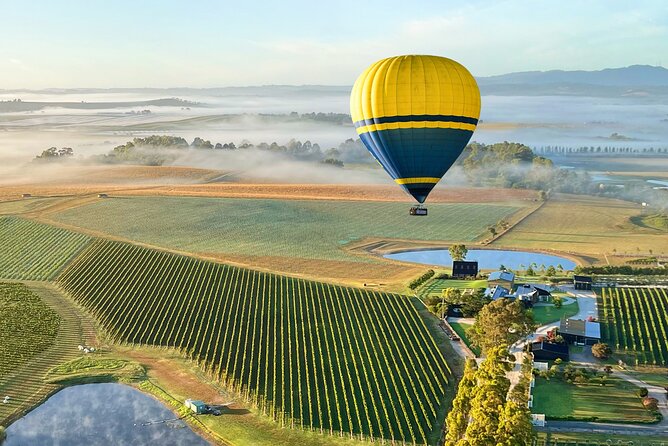 Yarra Valley Sunrise Balloon Flight with GoPro Photos - The flight itself: about one hour above vineyards at sunrise
