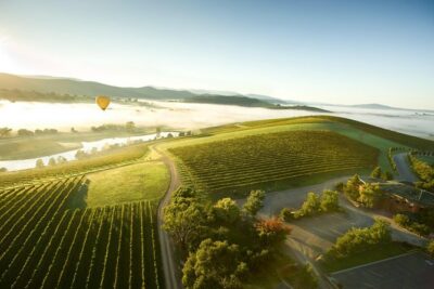 Yarra Valley Wine Day Tour - Small-group touring: where the best moments happen