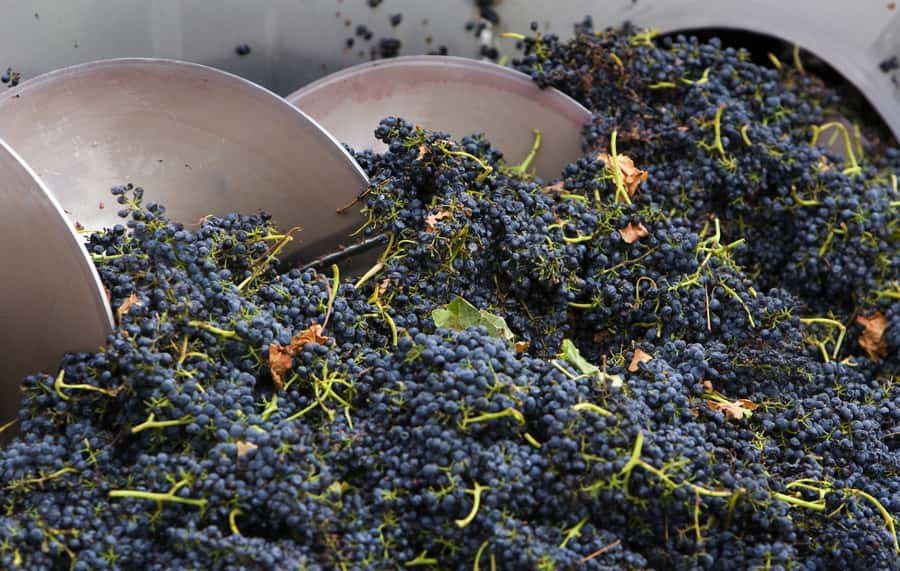 Yarra Valley: Winery Tour with Lunch at Yering Station - De Bortoli at Dixons Creek: Cheese Pairing as a Smart First Step